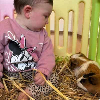 Animali e bambini